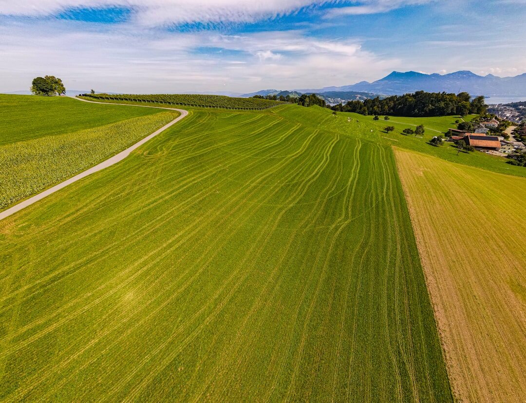 swiss countryside road