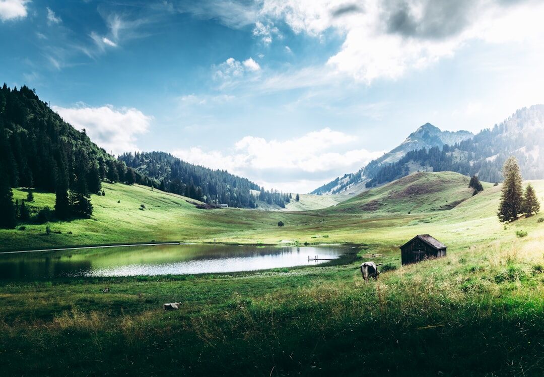 swiss alps landscape with lake