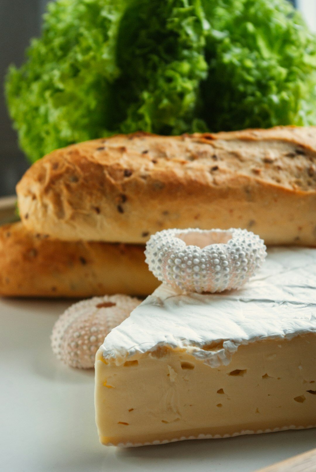 swiss cheese wheel